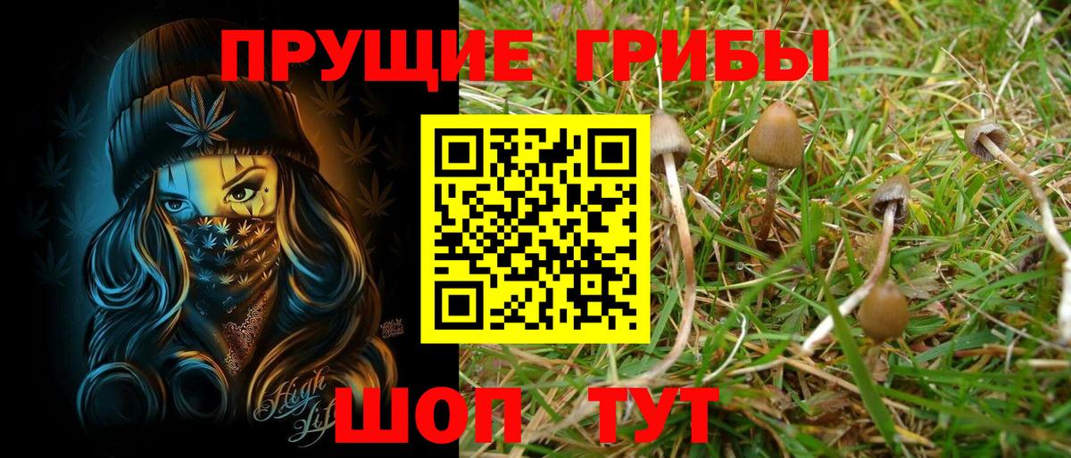Псилоцибиновые грибы Cubensis  Вход с VPN  Псилоцибиновые грибы Cubensis  Кинешма 